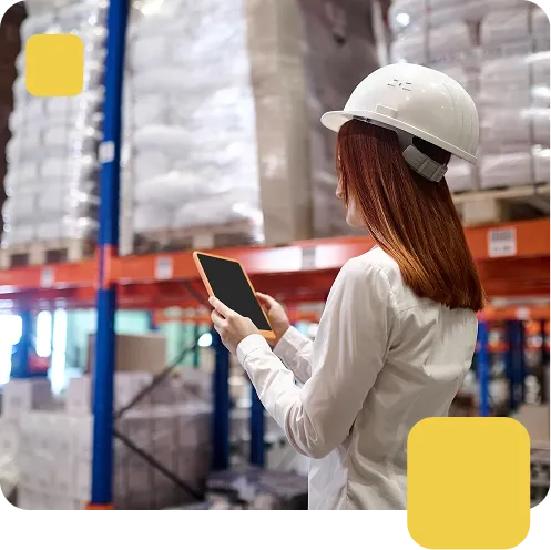 Imagen mujer usando WMS Ligero